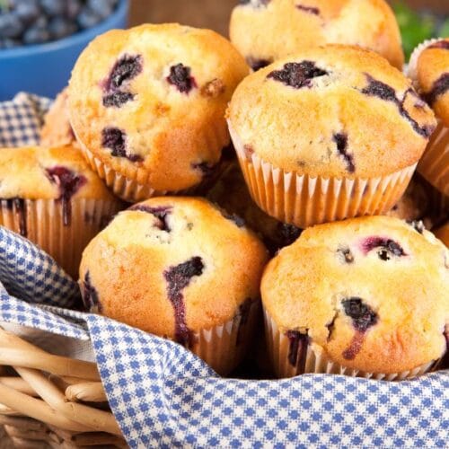 mini blueberry muffins