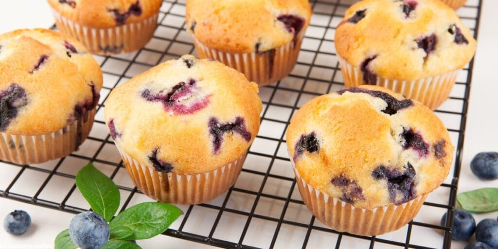 Freshly baked blueberry muffins resting on a cooling rack
