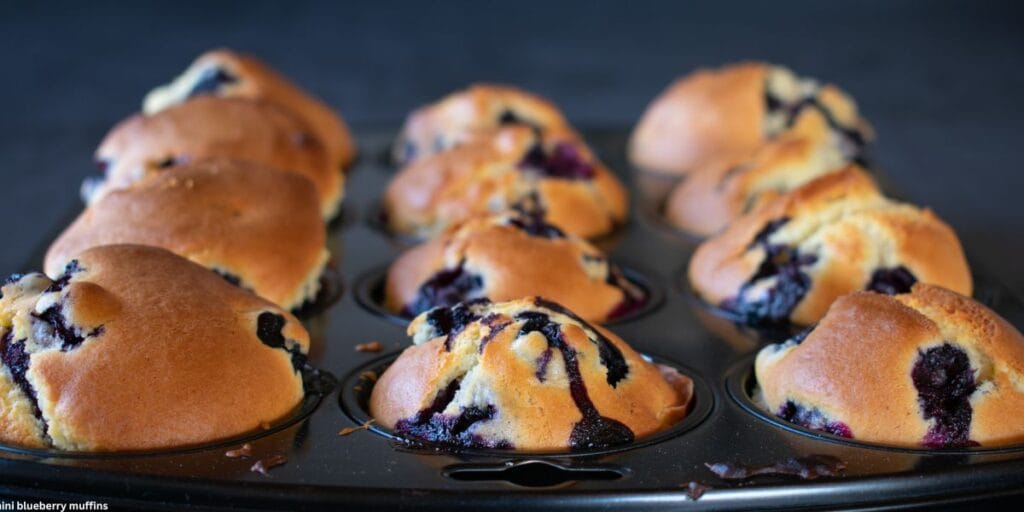 Final look of homemade mini blueberry muffins ready to serve