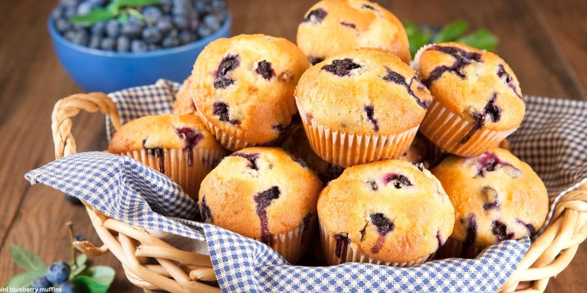 How to make Quick Mini Blueberry Muffins Recipe (Soft, & Easy)
