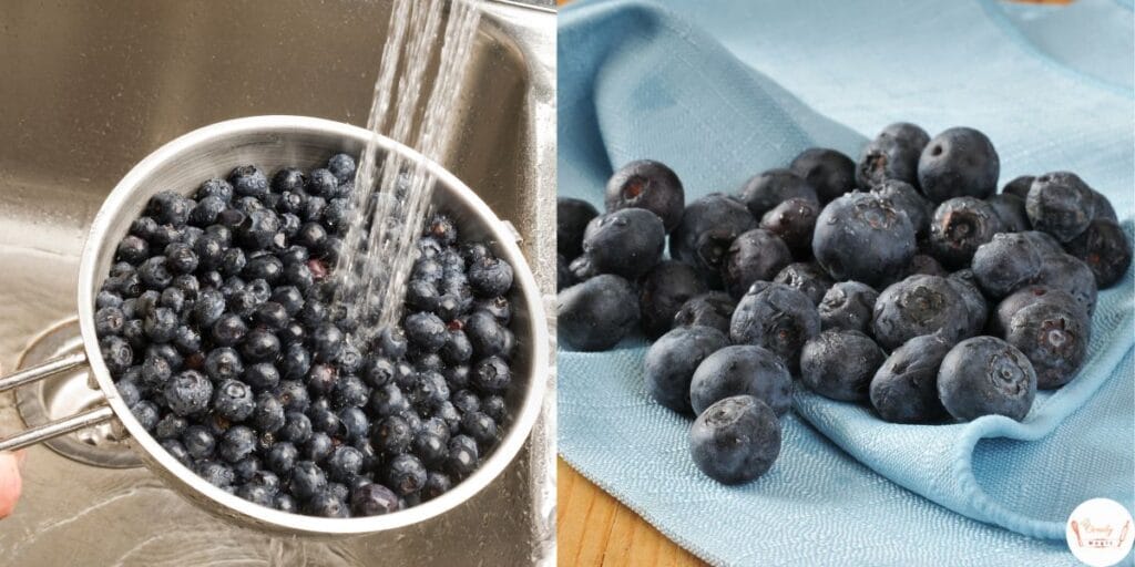 Preparing fresh blueberries for lemon blueberry bread by washing and drying