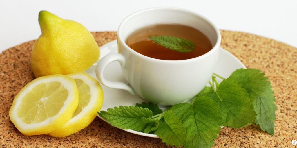Lemon balm tea for weight loss in a cup with fresh lemon balm leaves